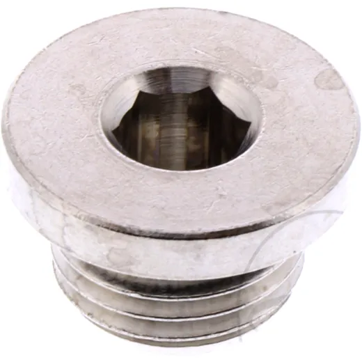 Brass Blind Plug G 1/4