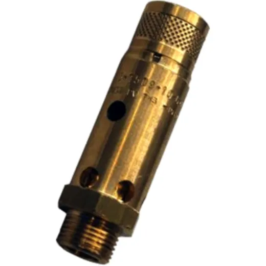 Safety Valve 11 bar G 1/4 for Compressed Air and Non-Toxic Gase