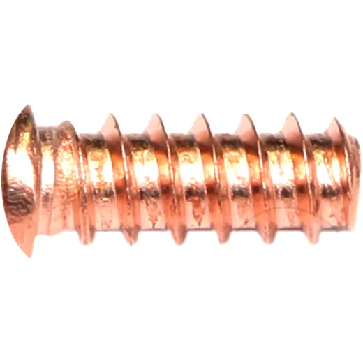 Threaded Rivets 5 X 12 for Motorcycles, 100 Pieces