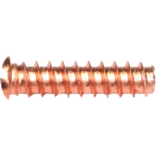 Threaded Rivets 5 X 18, 100 Pieces for Motorcycles