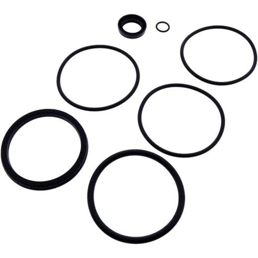 SEAL KIT for KIPP CYLINDER JMP FIX Auto