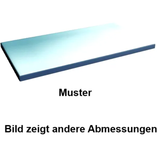 Galvanized Shelf 100kg 970 x 300 for Rauscher