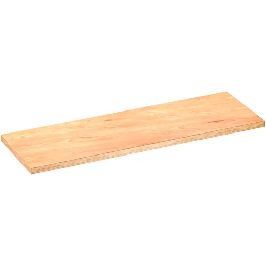 ARBEITSPLATTE hinten links V600001541