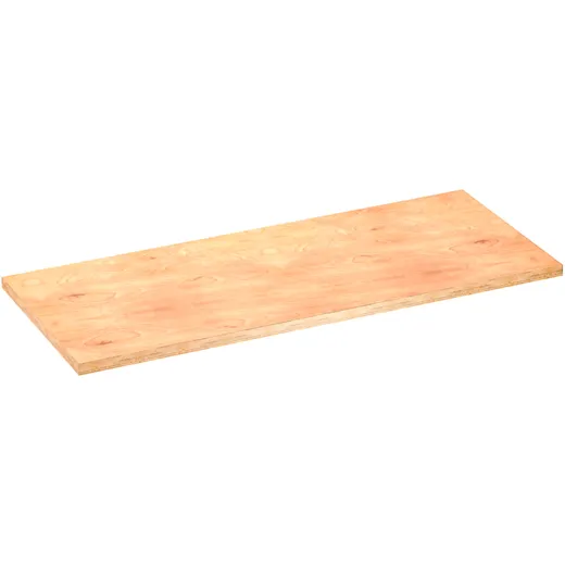 ARBEITSPLATTE hinten links V600001725D