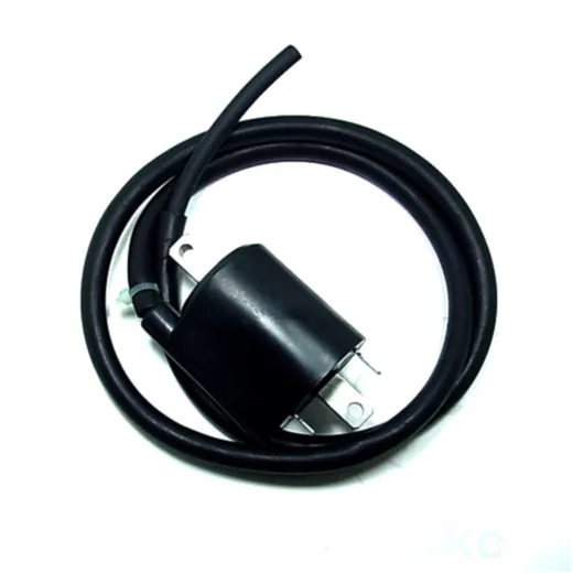 Ignition Coil 12V for Tourmax
