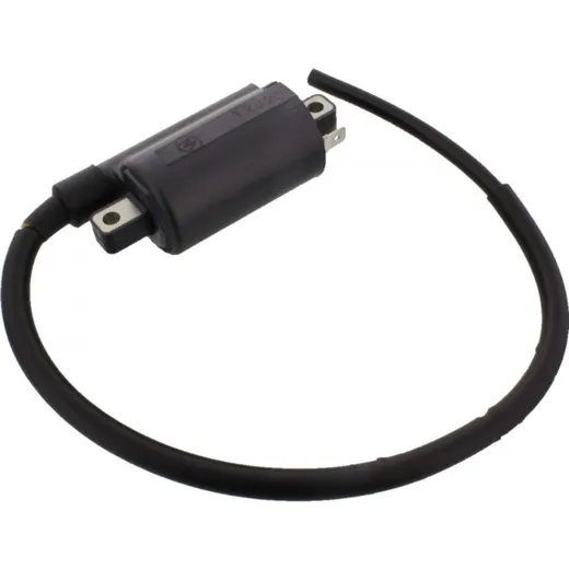 Ignition coil AP0265480
