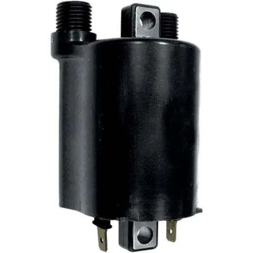Ignition coil 12V for: Honda VT, NTV, NT, Kawasaki W, ZZR, GPX