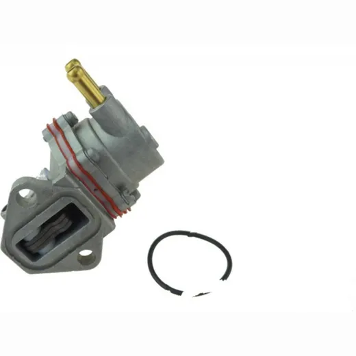 Fuel pump 829369