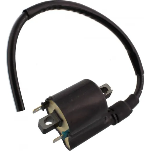 ignition coil / spark coil 211210039