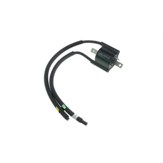 Coil 4BR8231009_1