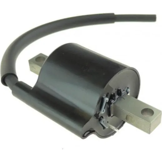 Coil 4SS8231000