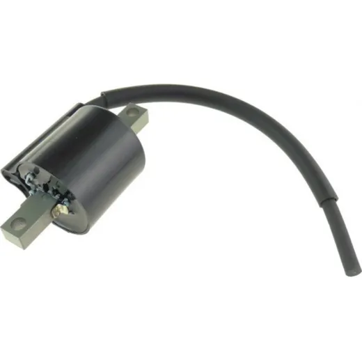 Coil 4SS8231000_1