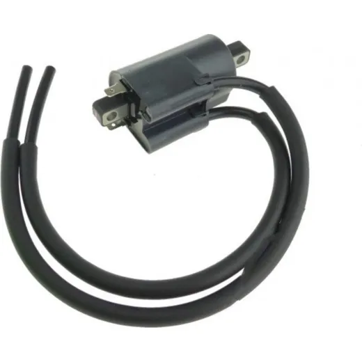 Coil 4B58232000_2