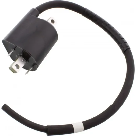 Coil 4NK8231010