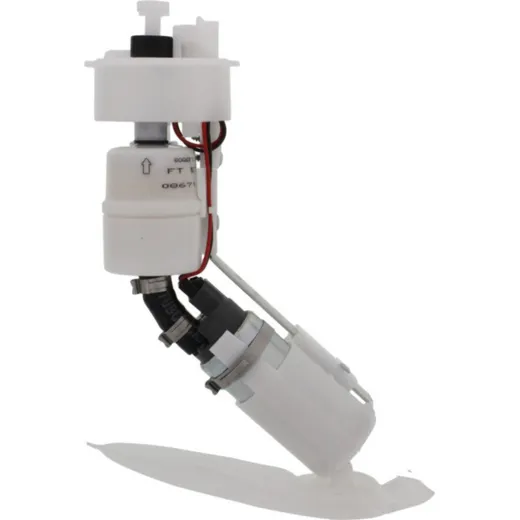 Fuel pump (orig spare part) 641133