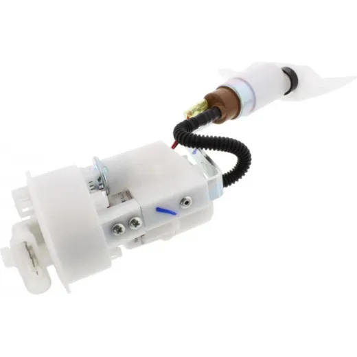 Fuel pump (orig spare part) 642444