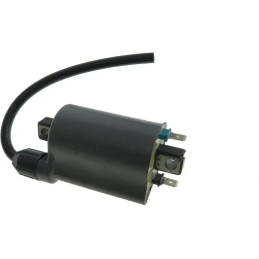 Ignition coil 211211189