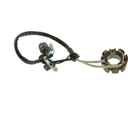 Stator (orig spare part) 210030091