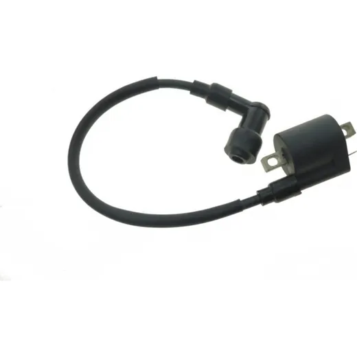 Ignition coil 979286