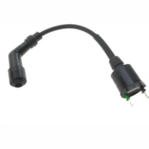 Ignition coil 979297