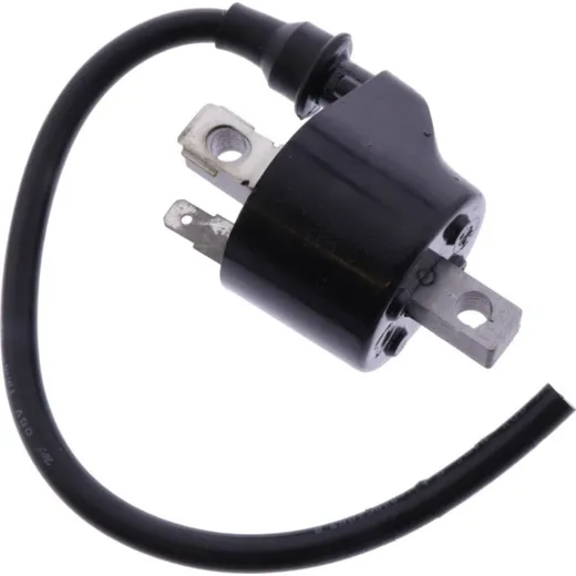 Ignition coil 979299