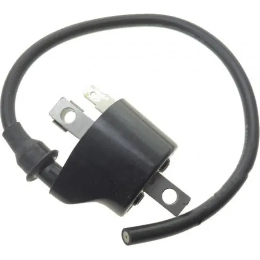 Ignition coil 979300