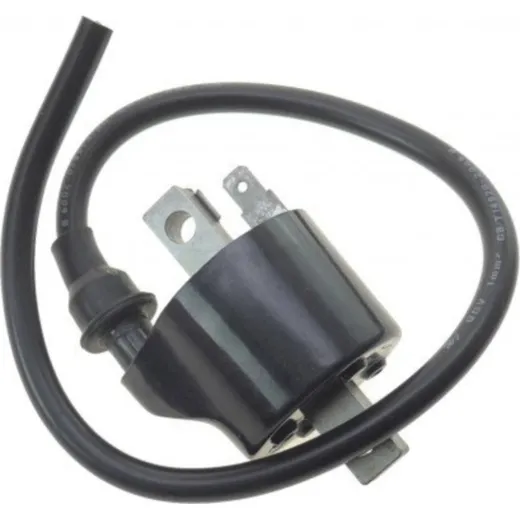Ignition coil 979302