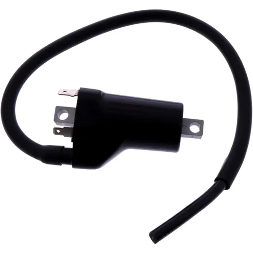 Ignition coil for: Cagiva V - Raptor, Raptor