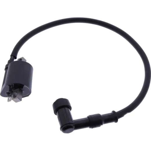 Ignition coil 1054833