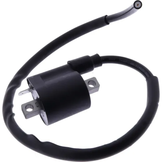 Ignition coil 12v jmp 1076805
