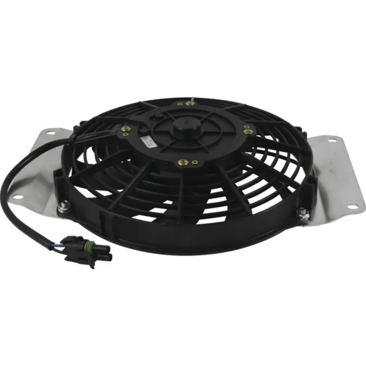 Fan all balls racing 701017