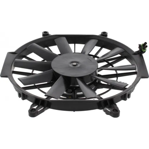 Fan all balls racing 701024