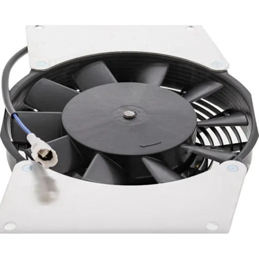 Fan all balls racing 701027