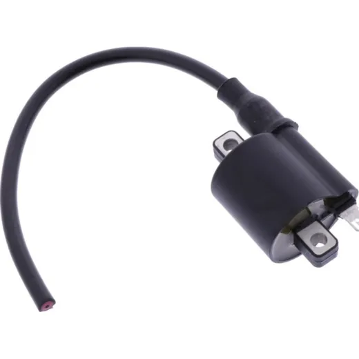 Ignition coil 1105090