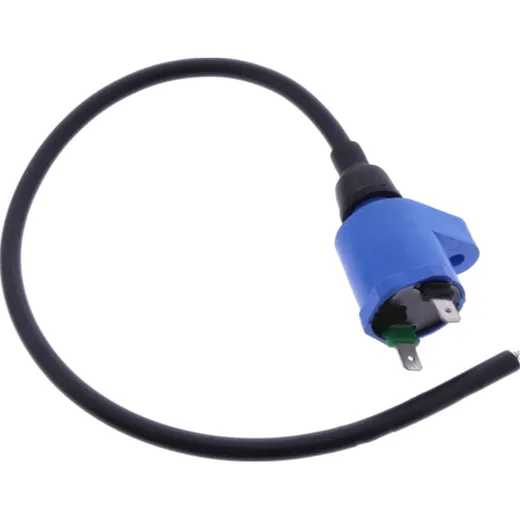 Ignition coil 1105094