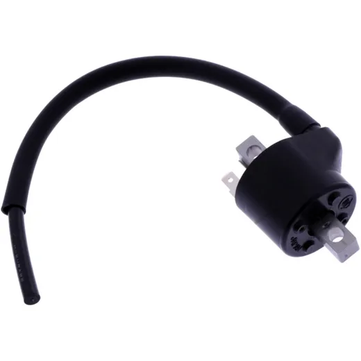 Ignition coil for: Beta RR, RX 7003053