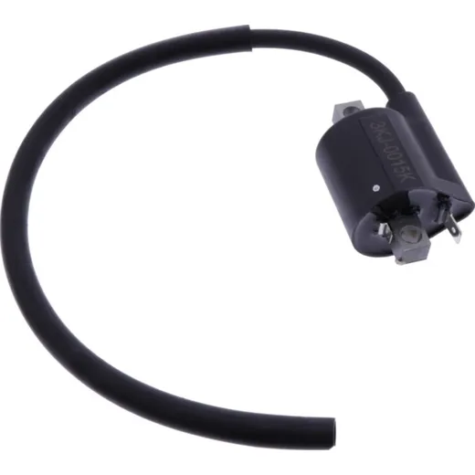 Ignition coil 1105096