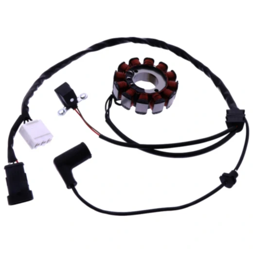 Lichtmaschine Stator passend für: Vespa Primavera, Sprint, 946, Piaggio Liberty, Fly