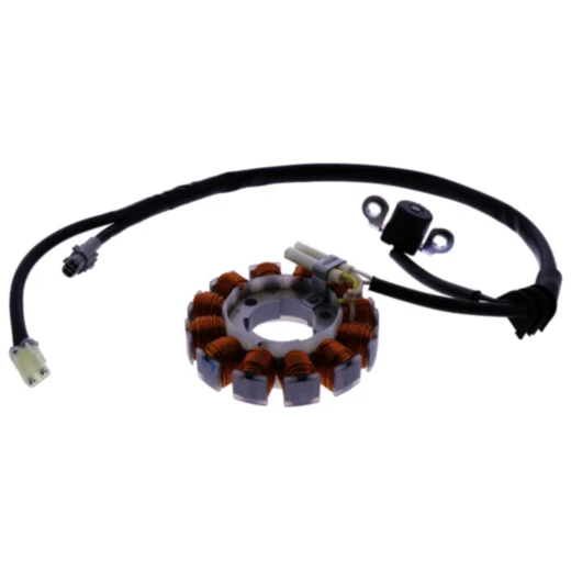 Stator Assembly OE Spare Part for Motorcycles
