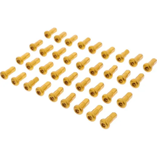 Spoke nipple kit rear