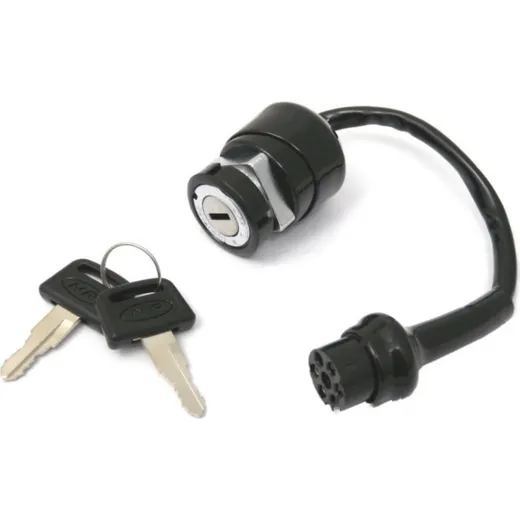 Ignition switch BD21H0001