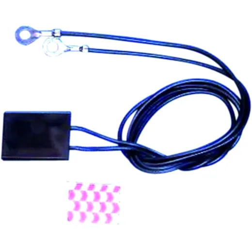 Elektronik Protector 12V für Fahrzeuge