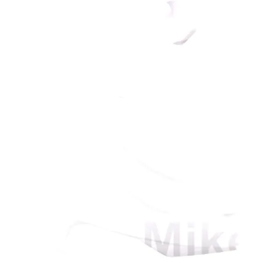 Kühlerabdeckung Satz 8417300002