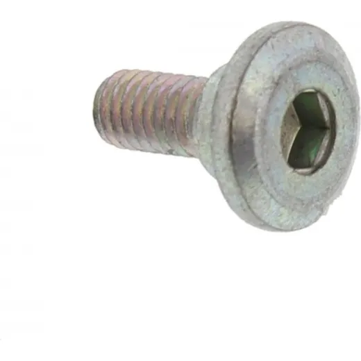 Brake disc bolt 800055878