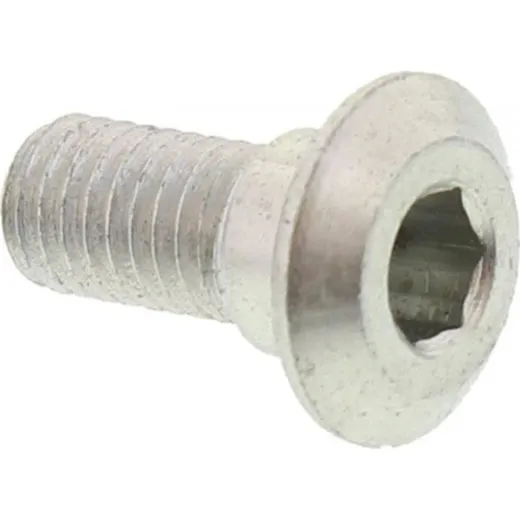 Brake disc bolt 800061777