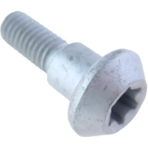 Brake Disc Screw M6X1X20MM (OE Spare Part)