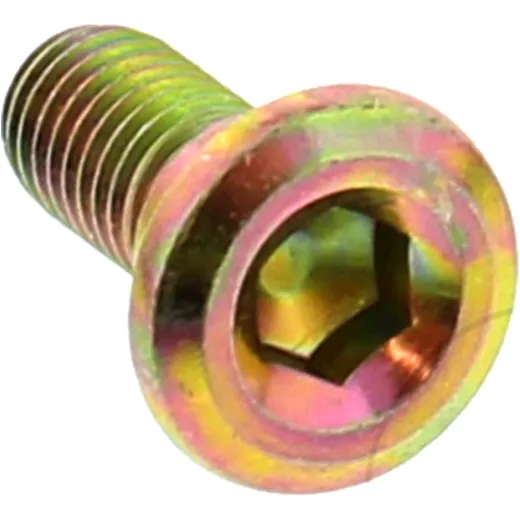 BRAKE DISC SCREW (OE SPARE PART)