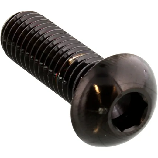 Brake disc screw M8X1. 25mm 25mm stainless steel A4 black for: BMW R, K, F 800