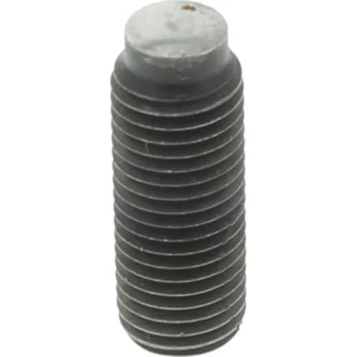 adjusting screw