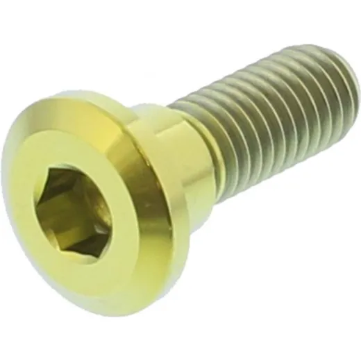 Brake disc bolt jmp probolt TIDISCHONREG